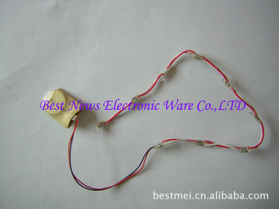 深圳特力電器 專業(yè)供應(yīng)發(fā)光燈串、發(fā)光衣服燈與閃光鞋燈